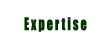 Expertise